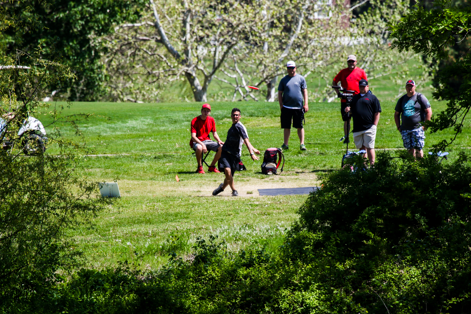 Drew Gibson Disc Golf