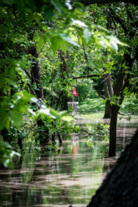 Flooded Peter Pan